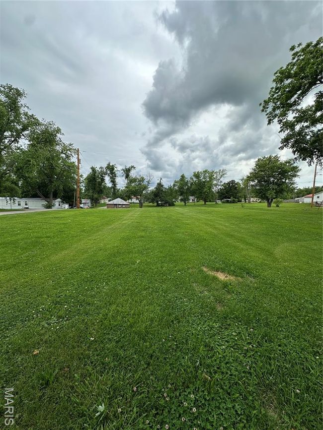View of green lawn | Image 6