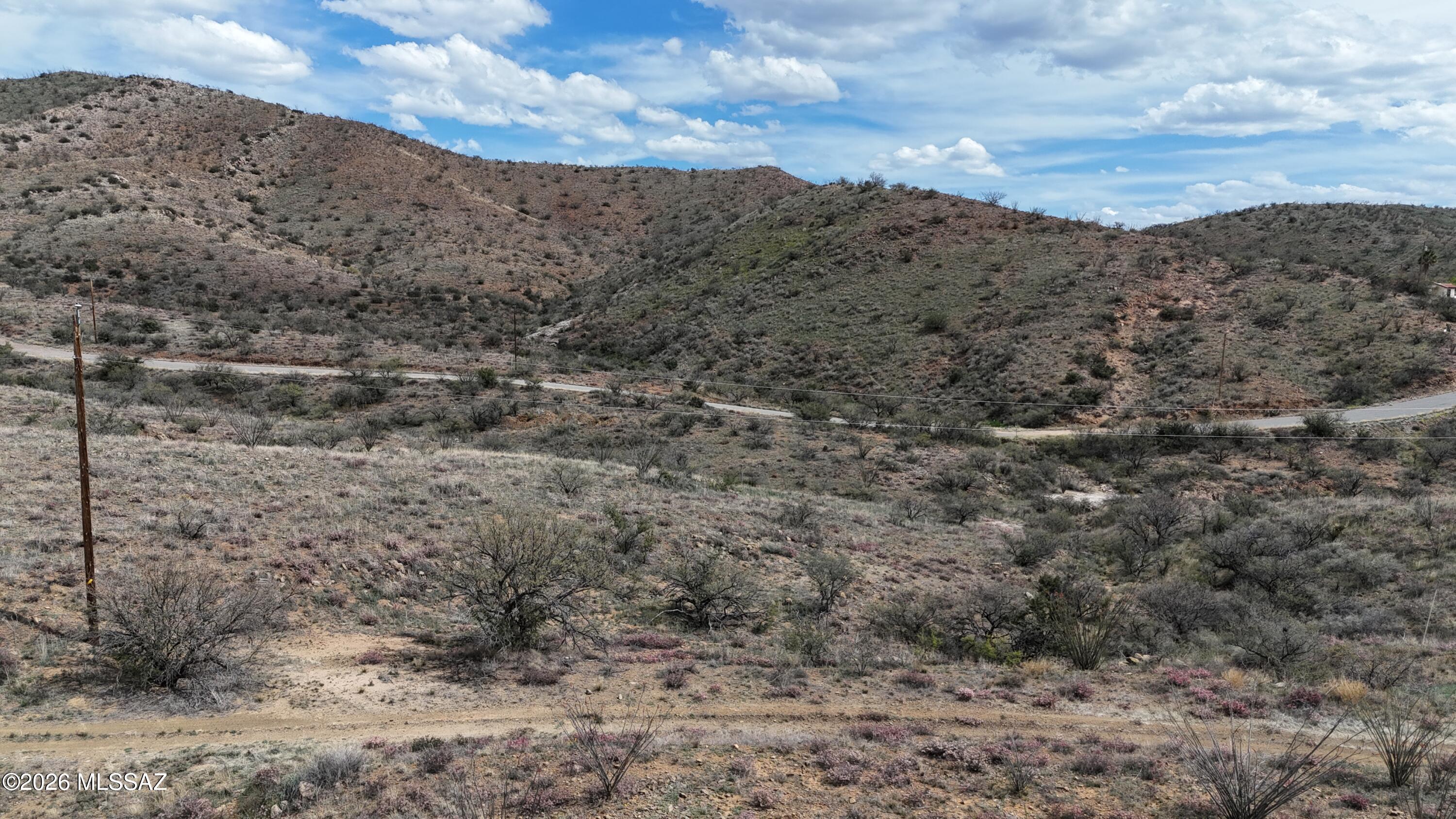 Land in Rio Rico