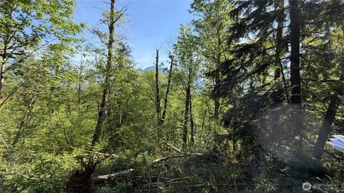 135 415th Way Se, North Bend, WA, 98045 | Card Image