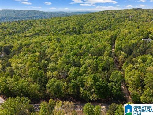 0-8810 Pine Mountain Road, PINSON, AL, 35126 | Card Image
