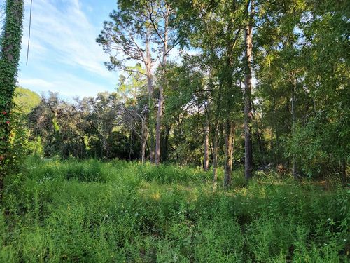 16870 Nw 80th Ave, FANNING SPRINGS, FL, 32693-7565 | Card Image