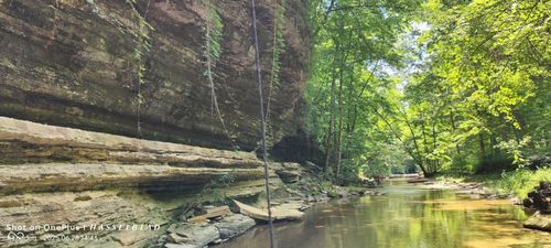 11182 S County Road 280 W, Westport, IN, 47283-9068 | Card Image