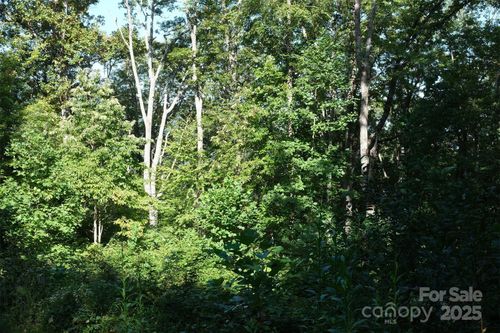 12-Lot: 12 Caperton Point Rd, Swannanoa, NC, 28778-0648 | Card Image