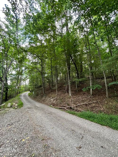 Tbd Moody Cir, Butler, TN, 37640 | Card Image