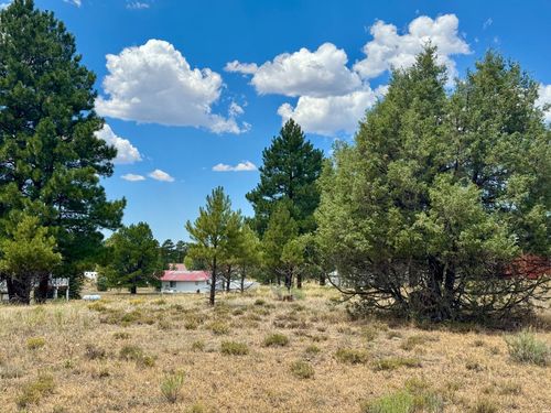 9 Pd 1791, Chama, NM, 87520 | Card Image