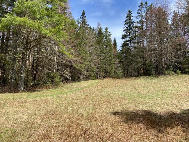 1993 Carter Road, House other with 2 bedrooms, 0 bathrooms and null parking in Burke VT | Image 21