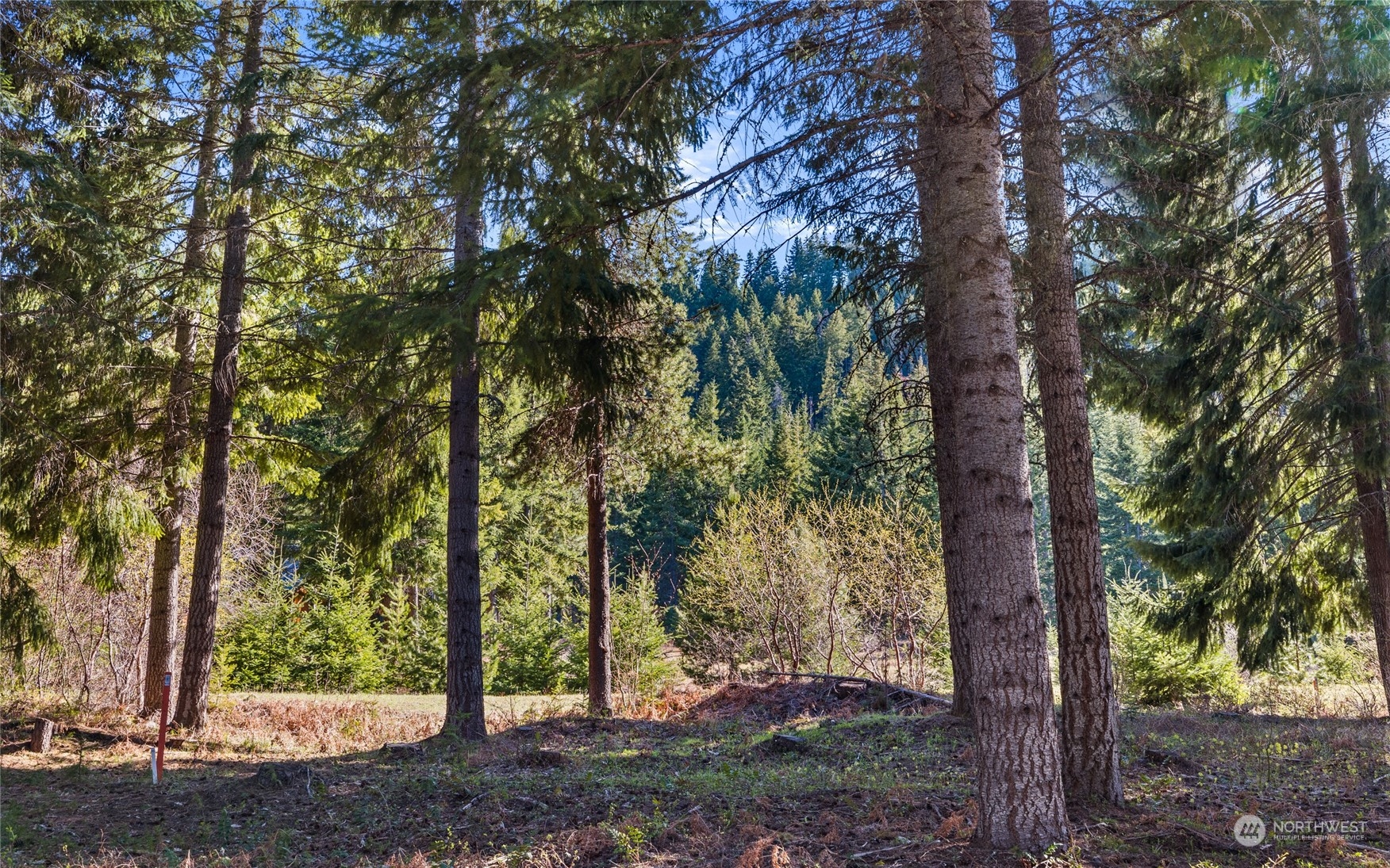 230 Goat Creek Lane, For Sale in Cle Elum Zoocasa