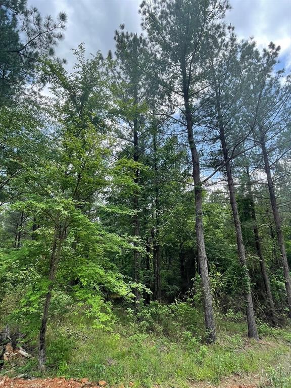 Land in Broken Bow