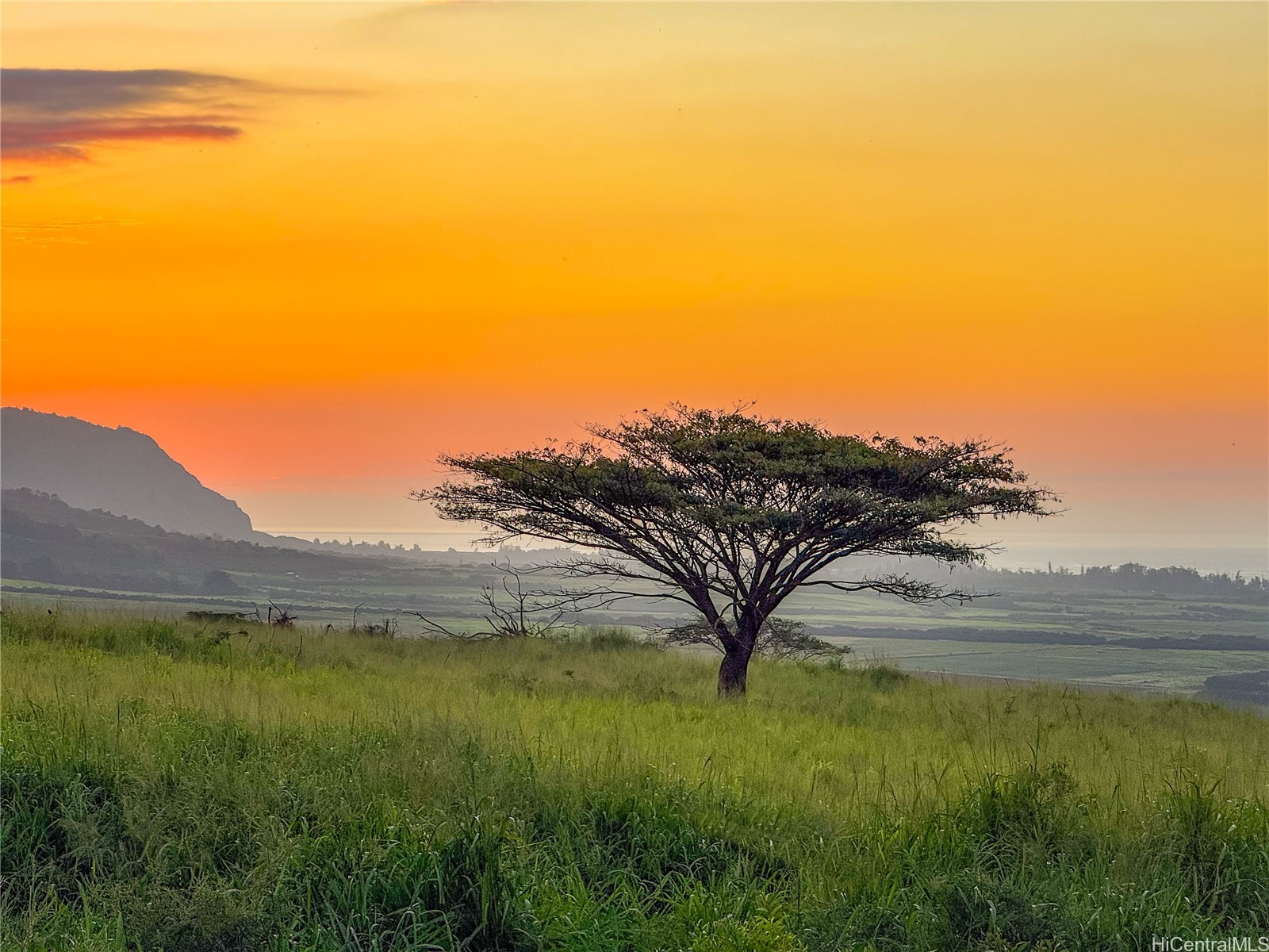 Land in Waialua 3