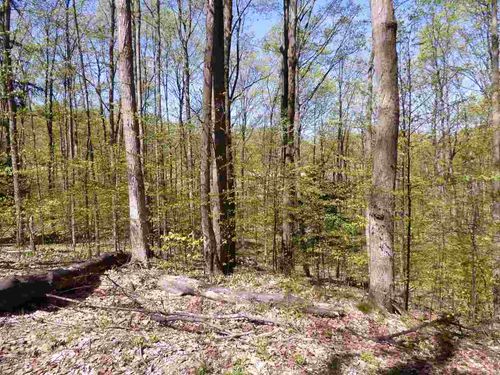 Parcel B Broken Arrow, Kearney Township, MI, 49615 | Card Image