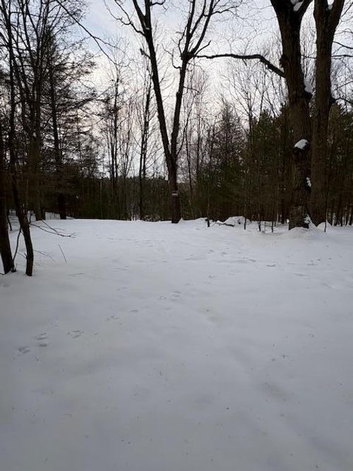 VL Bayou Road, Montague, MI, 49437 | Card Image