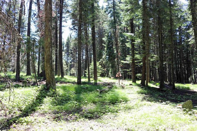 43529 Yellow Pine Ave, House other with 2 bedrooms, 2 bathrooms and 2 parking in Winchester ID | Image 42
