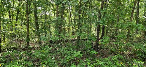 0 County Road 4050, Salem, MO, 65560 | Card Image