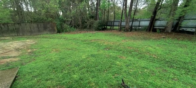 View of yard | Image 8