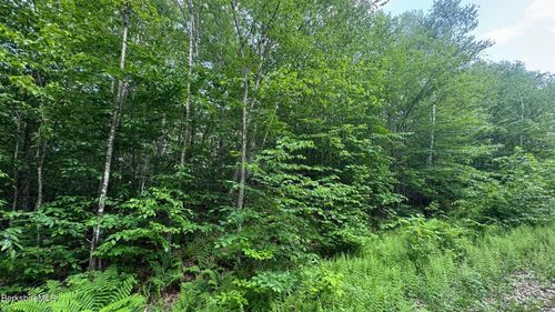 0 Lebenschauung Circle, Stamford, VT, 05352 | Card Image