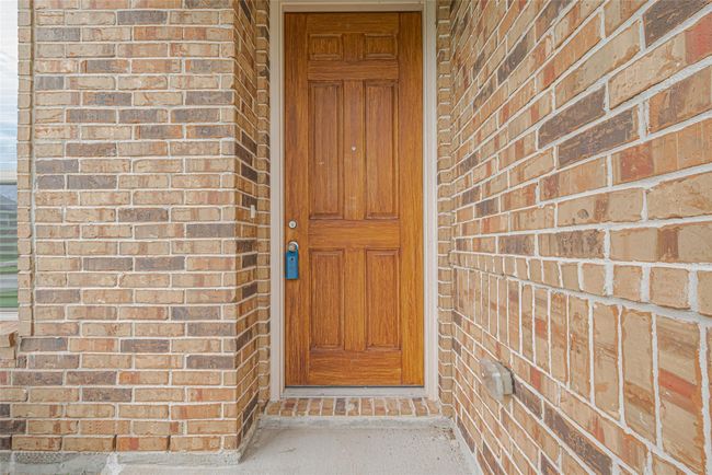 Image | Image 7