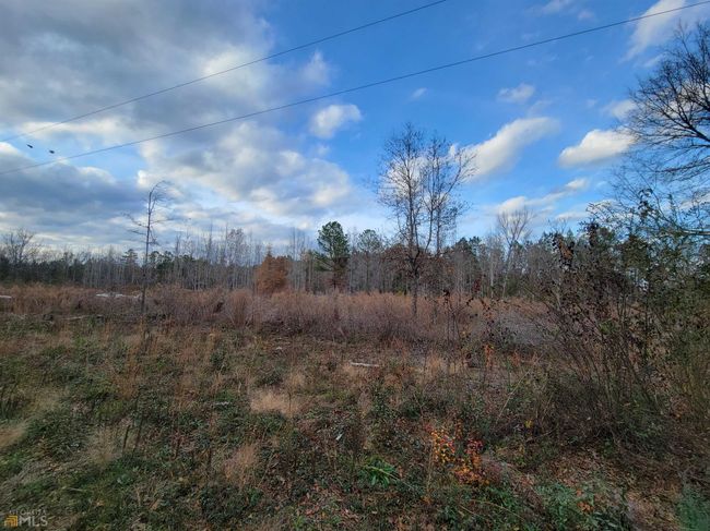 2757 Us Highway 1 N, Home with 0 bedrooms, 0 bathrooms and null parking in swainsboro GA | Image 12
