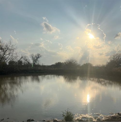 28 Shaws Bend Rd, Columbus, TX, 78934 | Card Image