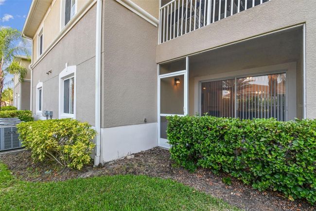 Back yard | Image 60