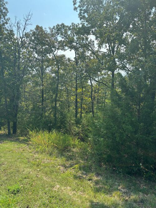 Lot #3 Fox Hollow Road, Branson West, MO, 65737 | Card Image