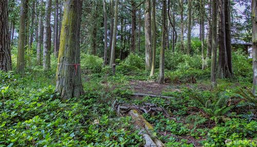 5679 Sheridan St, Port Townsend, WA, 98368-2028 | Card Image