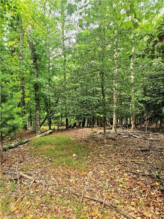 133 View Point Dr, Home with 0 bedrooms, 0 bathrooms and null parking in Traphill NC | Image 8