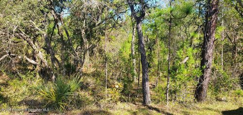 Lot 56 Michigan Ave, Brooksville, FL, 34613 | Card Image