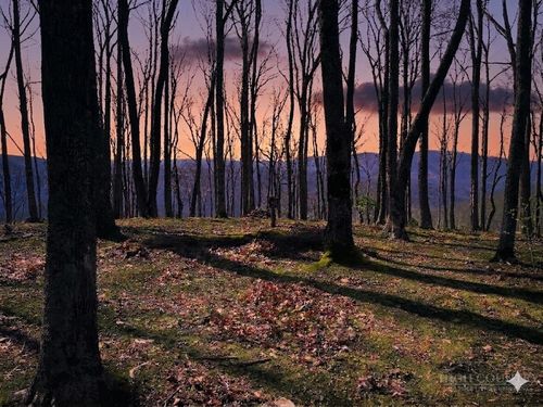 G30 Lodge Wood Trl, Banner Elk, NC, 28604 | Card Image