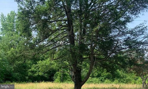 11900 Post Oak Rd, Spotsylvania, VA, 22551-5055 | Card Image