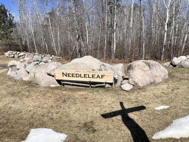 Needleleaf settlement | Image 8