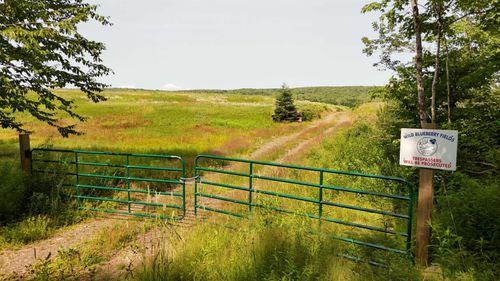 60 acres Kemptown Rd, Upper Kemptown, NS, B0K1V0 | Card Image