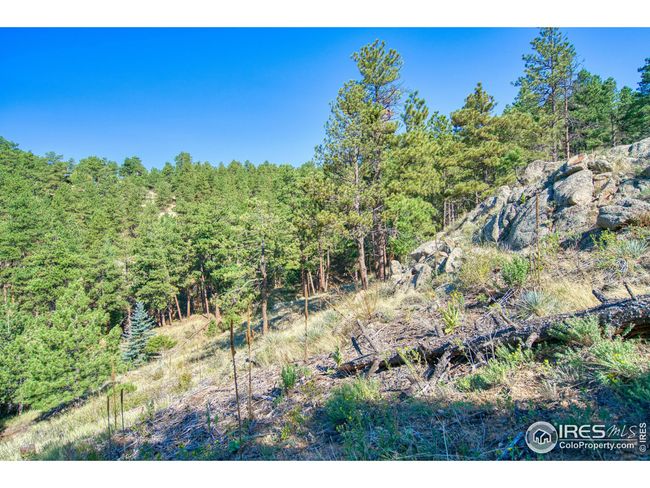2977 Sunshine Canyon Dr, Home with 0 bedrooms, 0 bathrooms and null parking in Boulder CO | Image 10