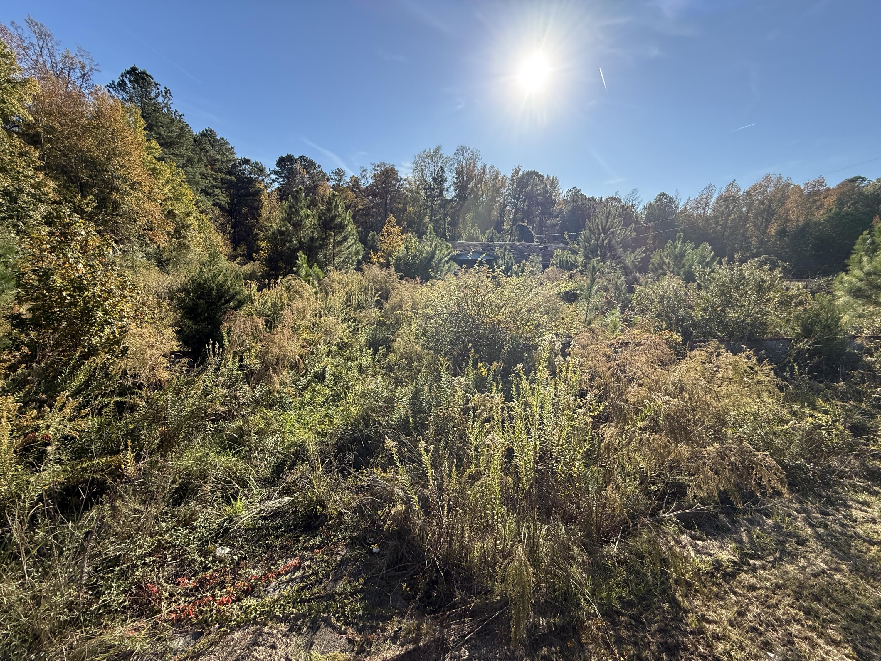 Land in Kingstree 2