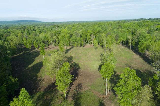 40.46AC Barker Cove Loop, Home with 1 bedrooms, 1 bathrooms and null parking in Palmer TN | Image 50