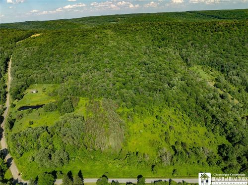 0 Morgan Hollow Rd, Franklinville, NY, 14737 | Card Image