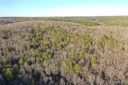 TBD County Road 426, Poplar Bluff, MO, 63901 | Card Image