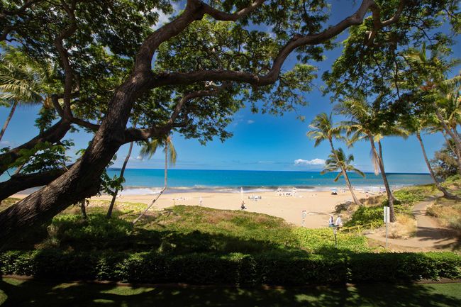 APT-9 - 2230 S Kihei Rd, Condo with 2 bedrooms, 2 bathrooms and null parking in Kihei HI | Image 8
