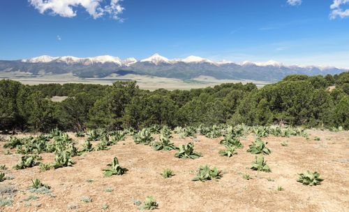 504 Ute Road, Westcliffe, CO, 81252 | Card Image