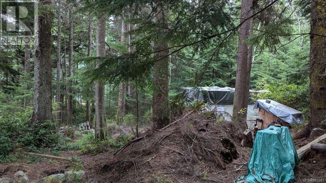 542E Larch St, Home with 0 bedrooms, 0 bathrooms and null parking in Alert Bay BC | Image 4