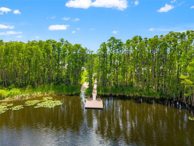 104 - 1936 Heron Cove Dr, Condo with 2 bedrooms, 2 bathrooms and null parking in Lutz FL | Image 49