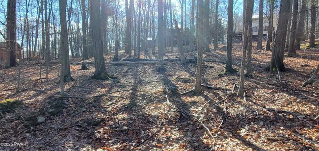 lot | Image 7