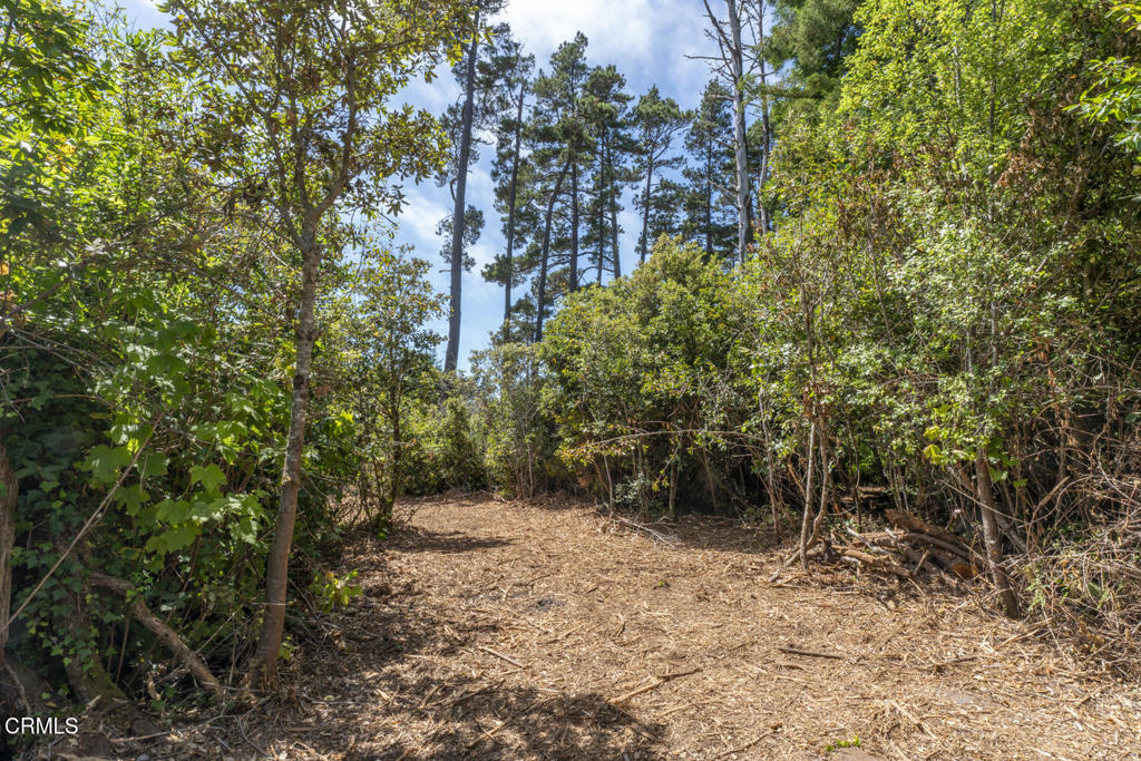 Land in Fort Bragg 3