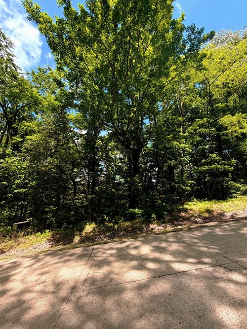 33 Swiper Dr, Smithville, TN, 37166 | Card Image