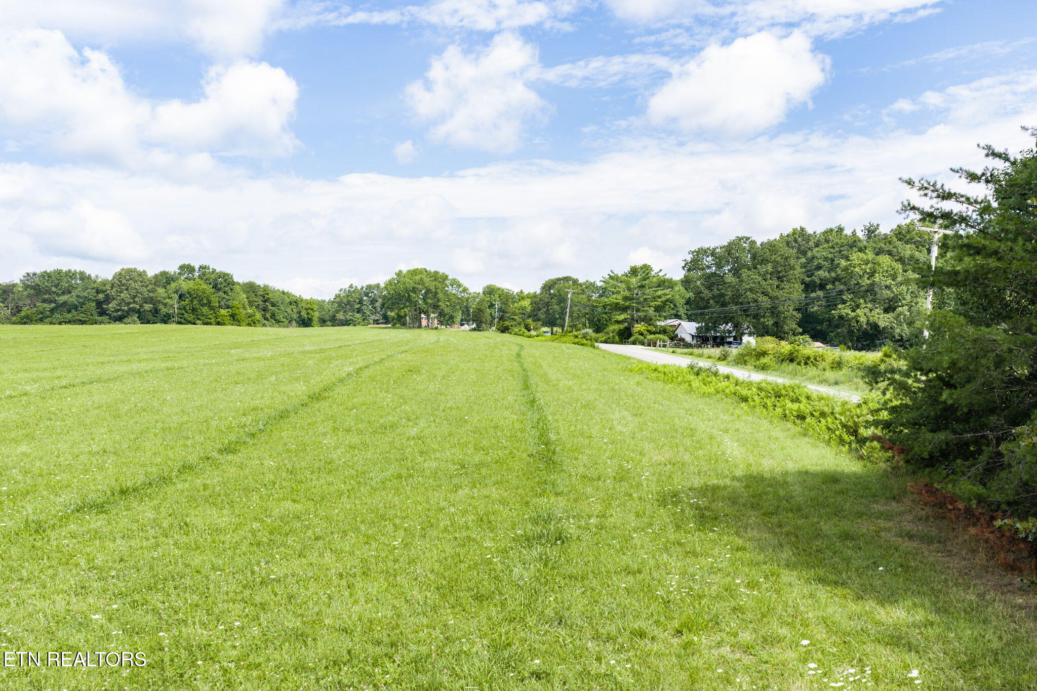 Land in Crossville 5
