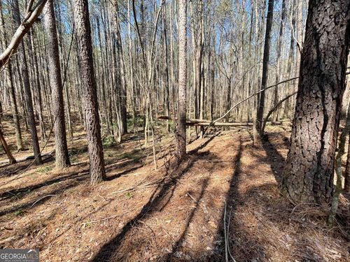2-0 Joe Cook Rd, Franklin, GA, 30217 | Card Image