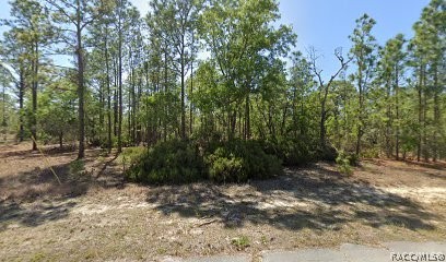Land in Dunnellon