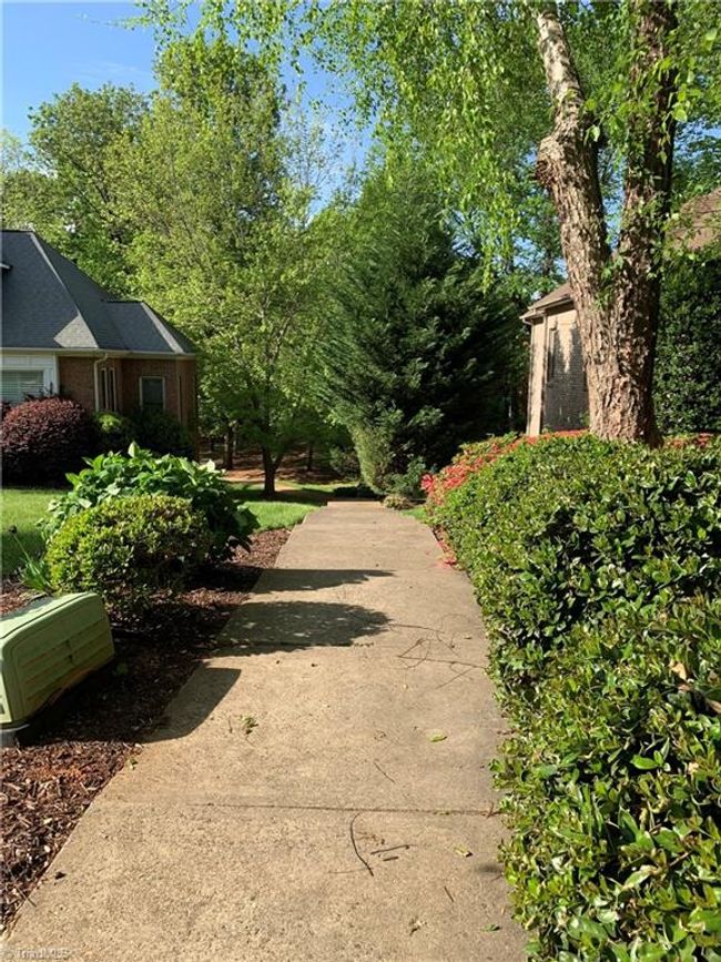 Park like path to explore the area | Image 43