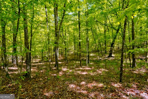 98 ACRES +/- George Smith, Talbotton, GA, 31827 | Card Image