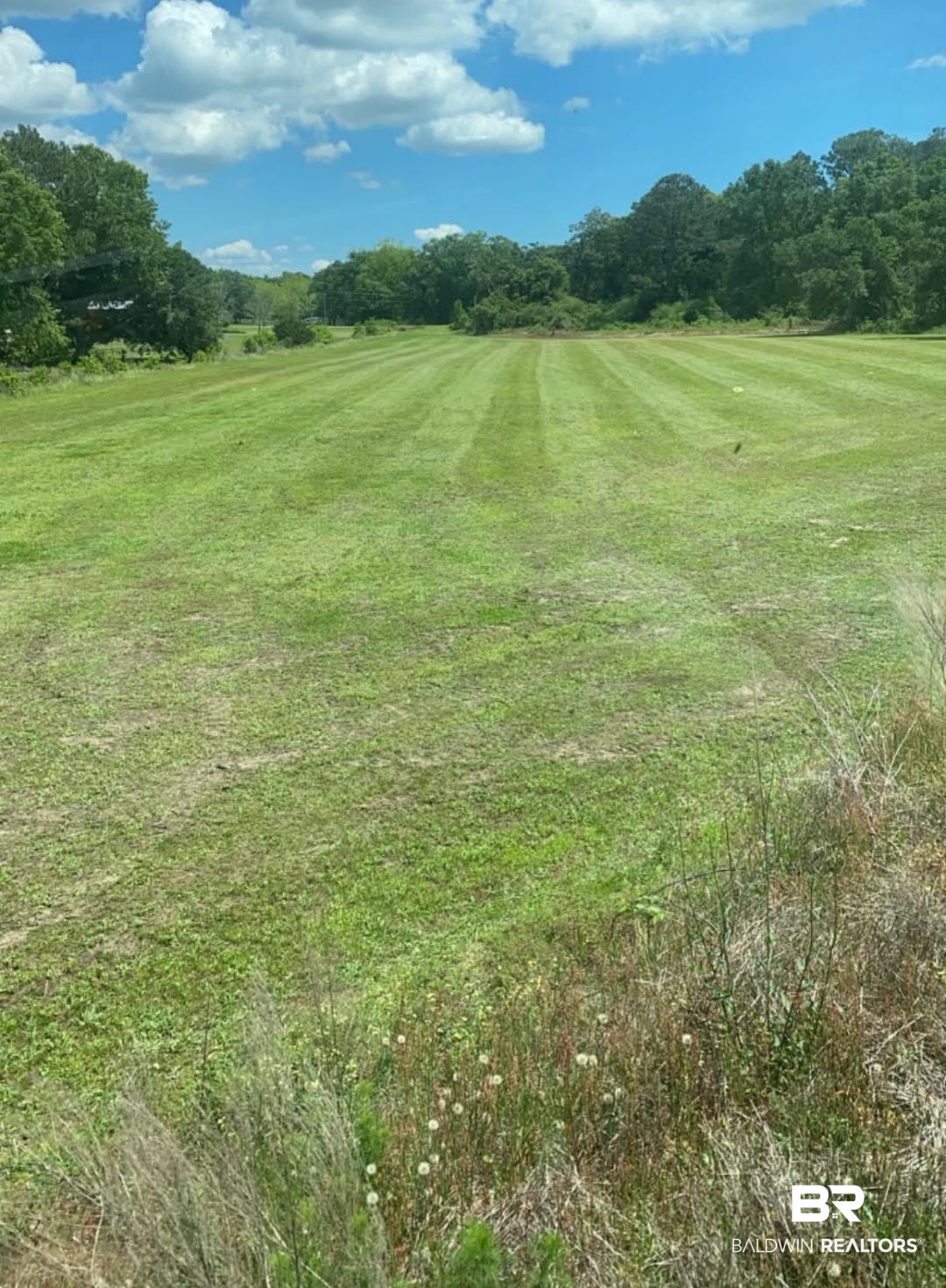 Land in Robertsdale 4