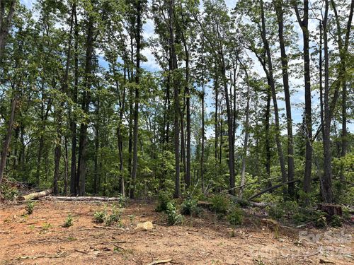 TBD Early Rd, Saluda, NC, 28773 | Card Image